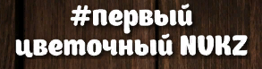 Первый Цветочный NVKZ